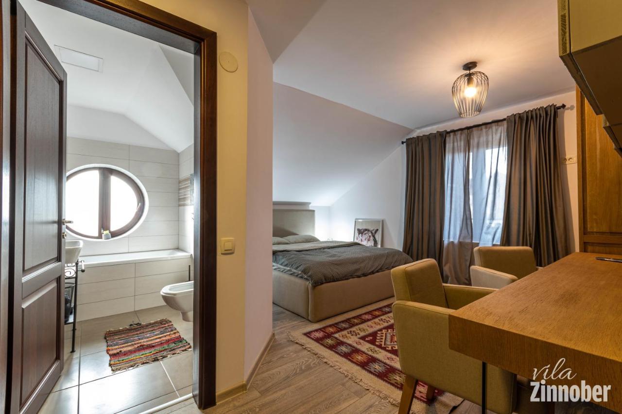 Vila Zinnober Brasov Luaran gambar