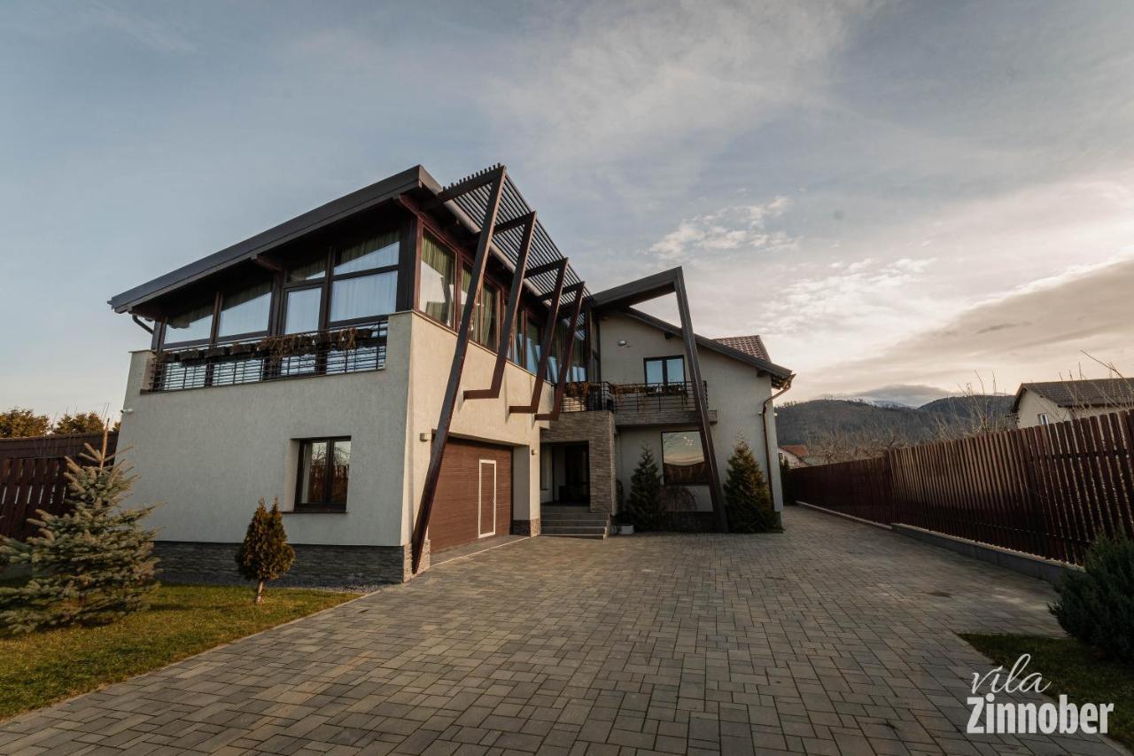 Vila Zinnober Brasov Luaran gambar
