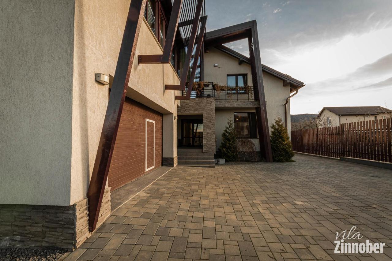 Vila Zinnober Brasov Luaran gambar