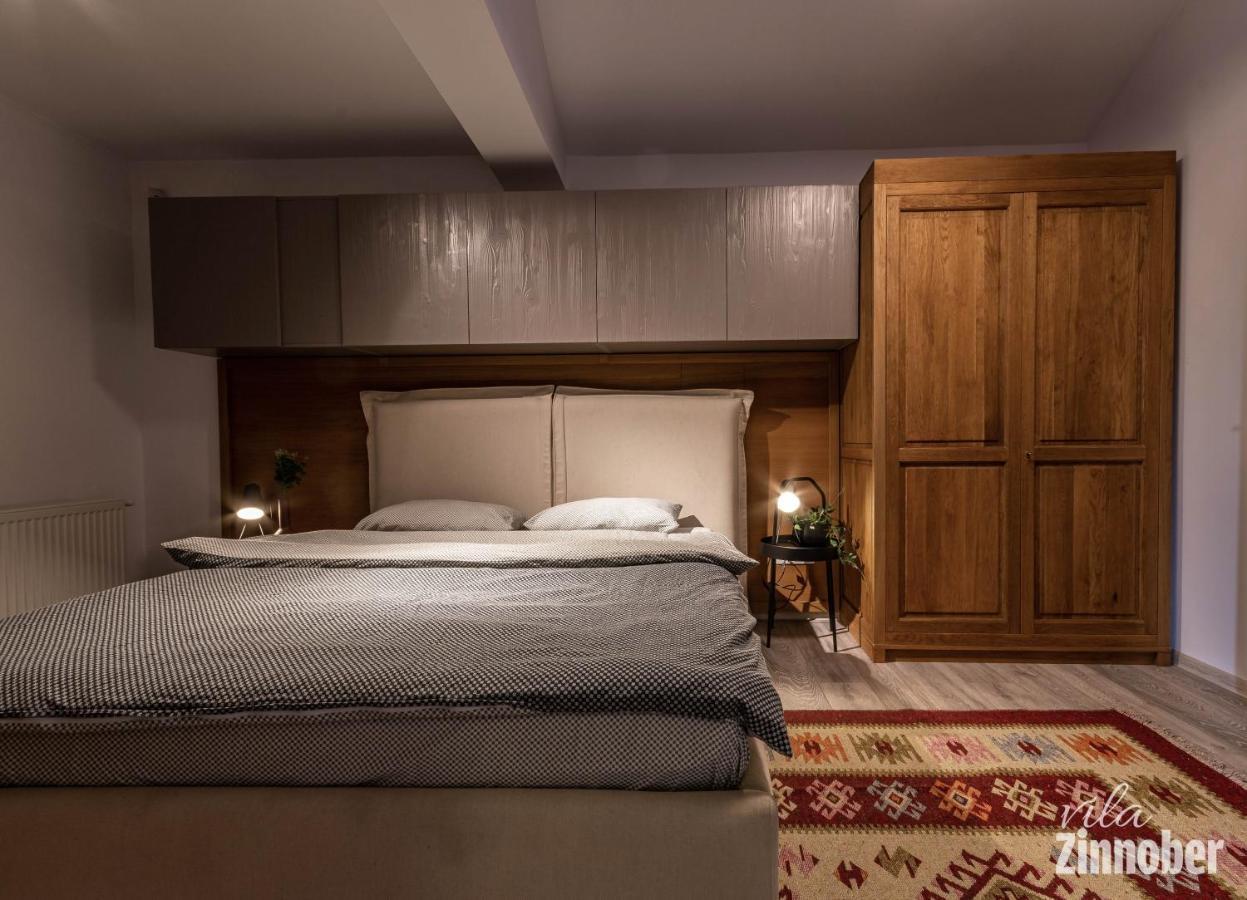 Vila Zinnober Brasov Luaran gambar
